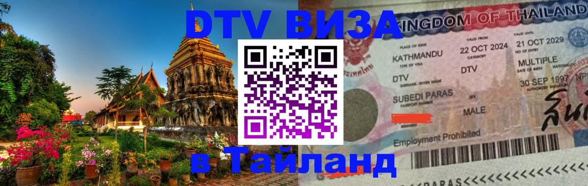 Сколько стоит DTV виза — актуальные цены, оформление даже без документов - Якутск  20.11.2025 